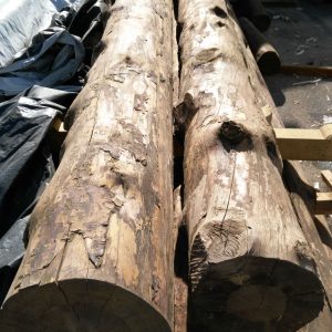 Rollizos Gordos de Madera “Super” - Imagen 2