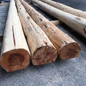 Rollizos de Madera Rústicos redondos para techo - Imagen 6