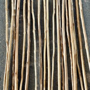 Rollizos Finos de Madera de Eucalipto – Pack de 20 Unidades (3m de Largo) - Imagen 3