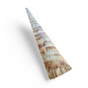 tabla costero de madera de pino