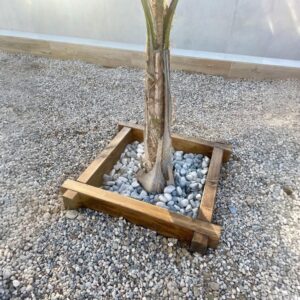 jardinera para plantas